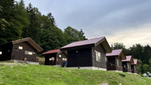 21世紀の森|豊かな自然や清らかな空気を満喫