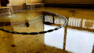 豊富温泉｜化石海水によるモール泉