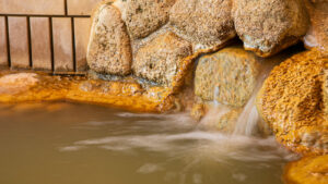 北海道の雄大な森に囲まれた温泉｜五味温泉