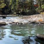 鹿の湯温泉｜渓流に作られた美しき野湯