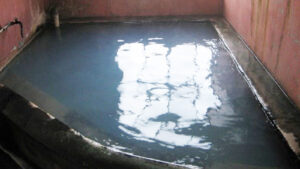 きむら温泉旅館｜とりたての魚料理が自慢のお宿