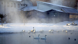 中標津保養所 温泉旅館｜自然をたのしみ心なごむやすらぎの宿
