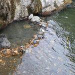 薫別温泉｜ヒグマの縄張り！危険地帯に湧く秘湯中の秘湯