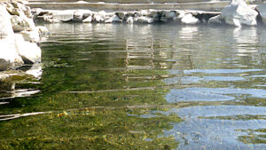 和琴温泉露天風呂｜和琴半島の混浴露天風呂