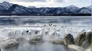コタン温泉露天風呂｜絶景露天風呂