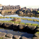 水無海浜温泉| 函館の海辺にある天然露天風呂