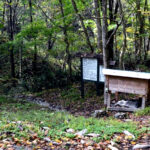 矢櫃冷泉｜知る人ぞ知る野湯